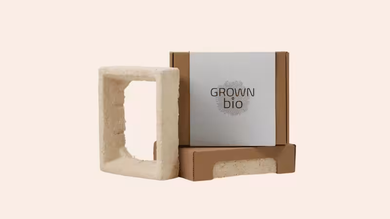 one mushroom insert and two cardboard boxes